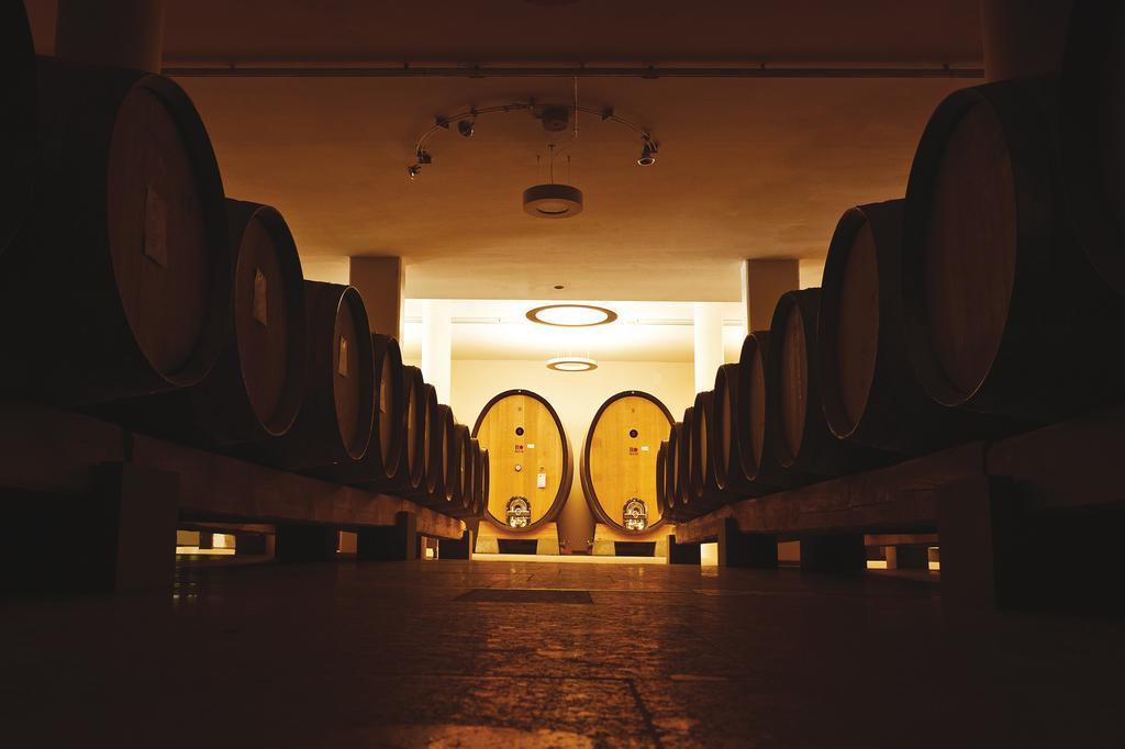 Roccafiore Wine Resort & Spa Todi Bagian luar foto