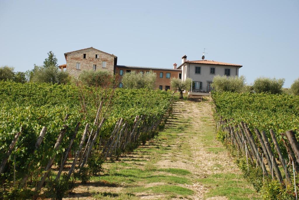 Roccafiore Wine Resort & Spa Todi Bagian luar foto